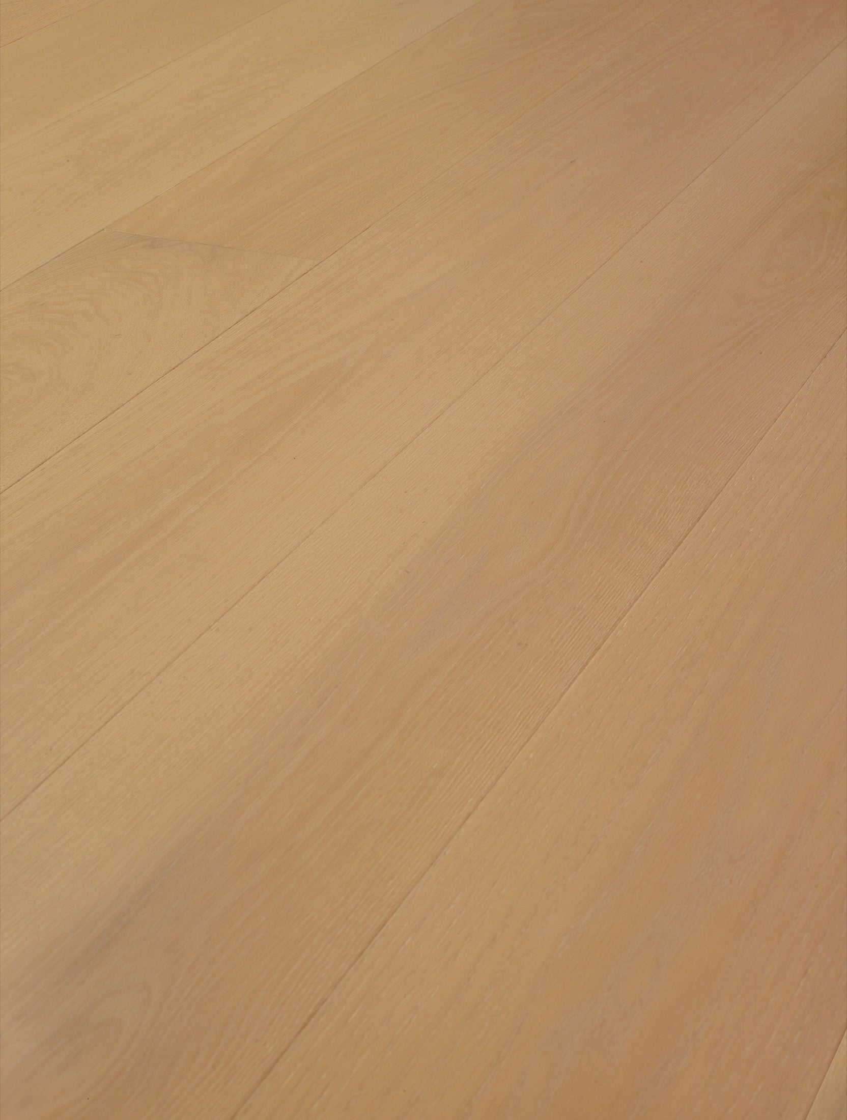 California Oak, angled view