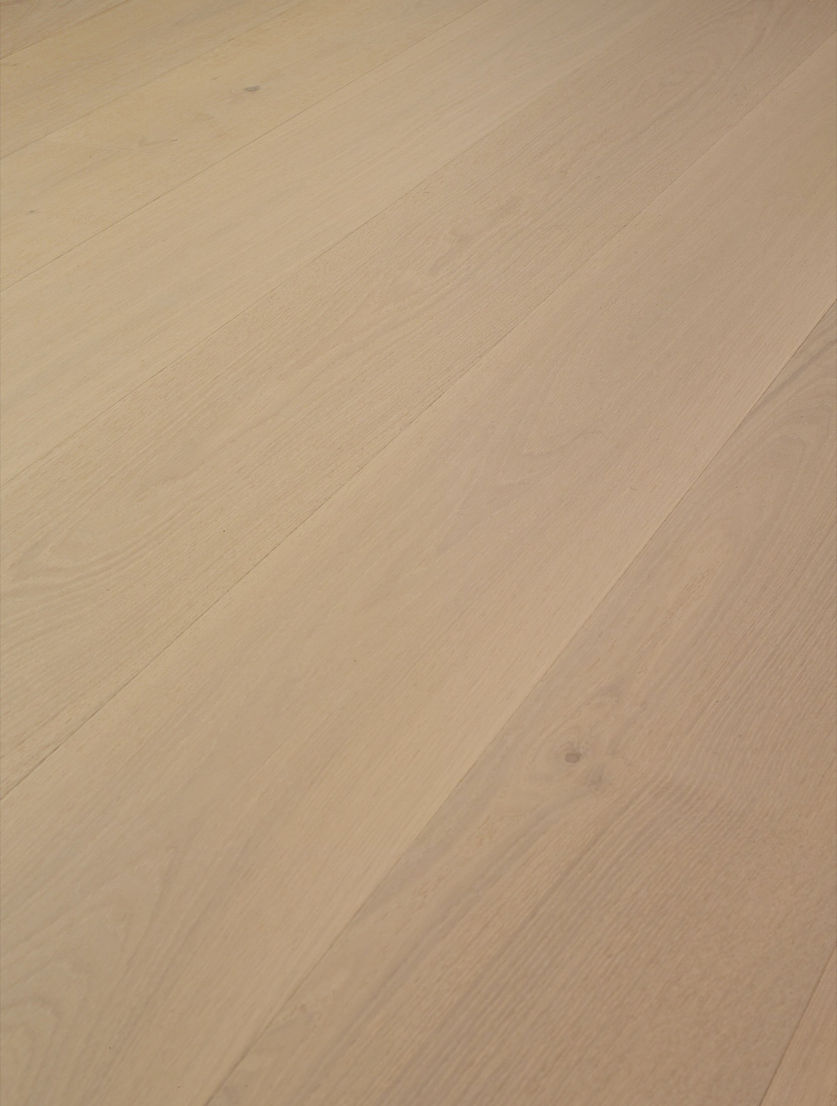 Ivory Oak, angled view