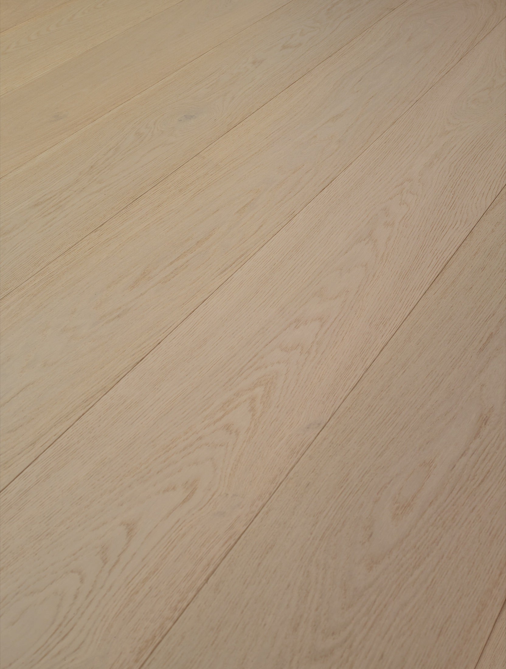Manhattan Oak, angled view