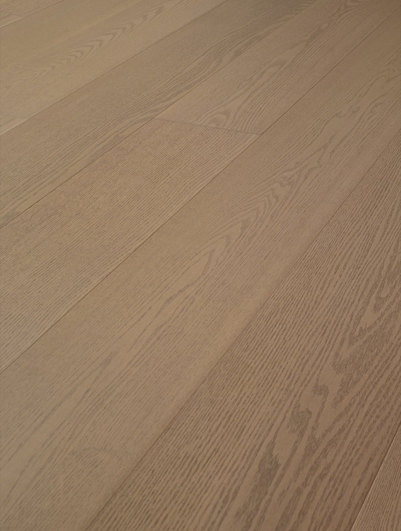 Miami Oak, angled view